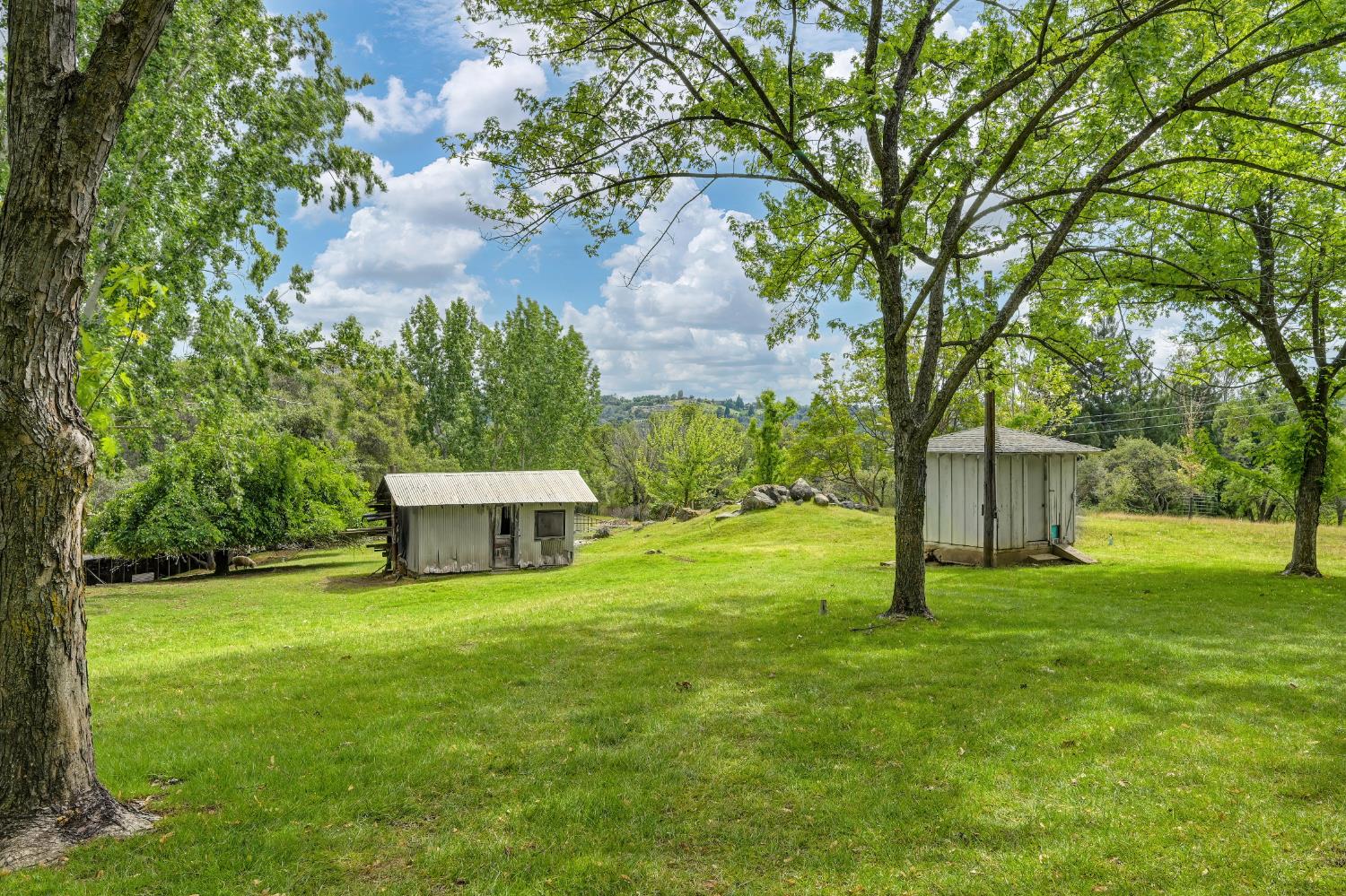 8495 Chili Hill Road Newcastle, CA 95658 - Photo 46 of 56 a view of a backyard with large trees