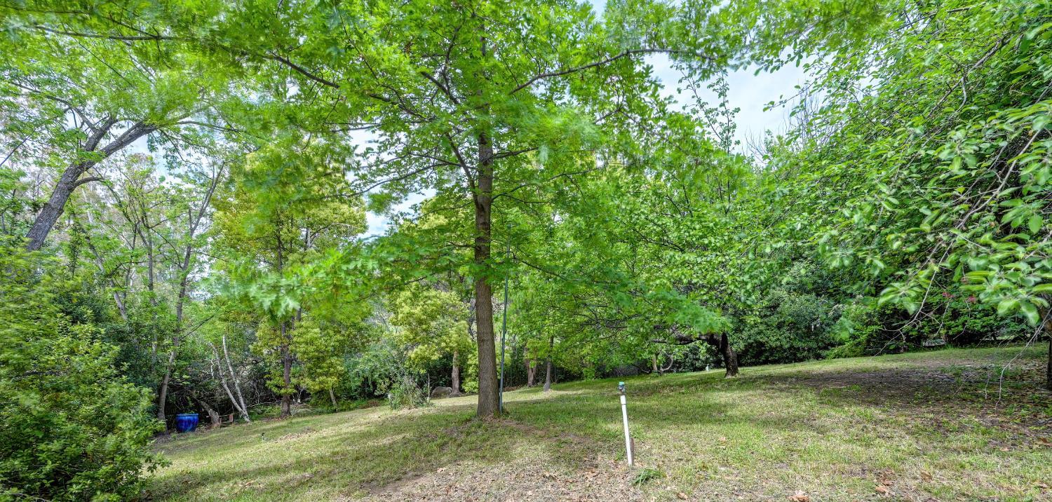 8495 Chili Hill Road Newcastle, CA 95658 - Photo 53 of 56