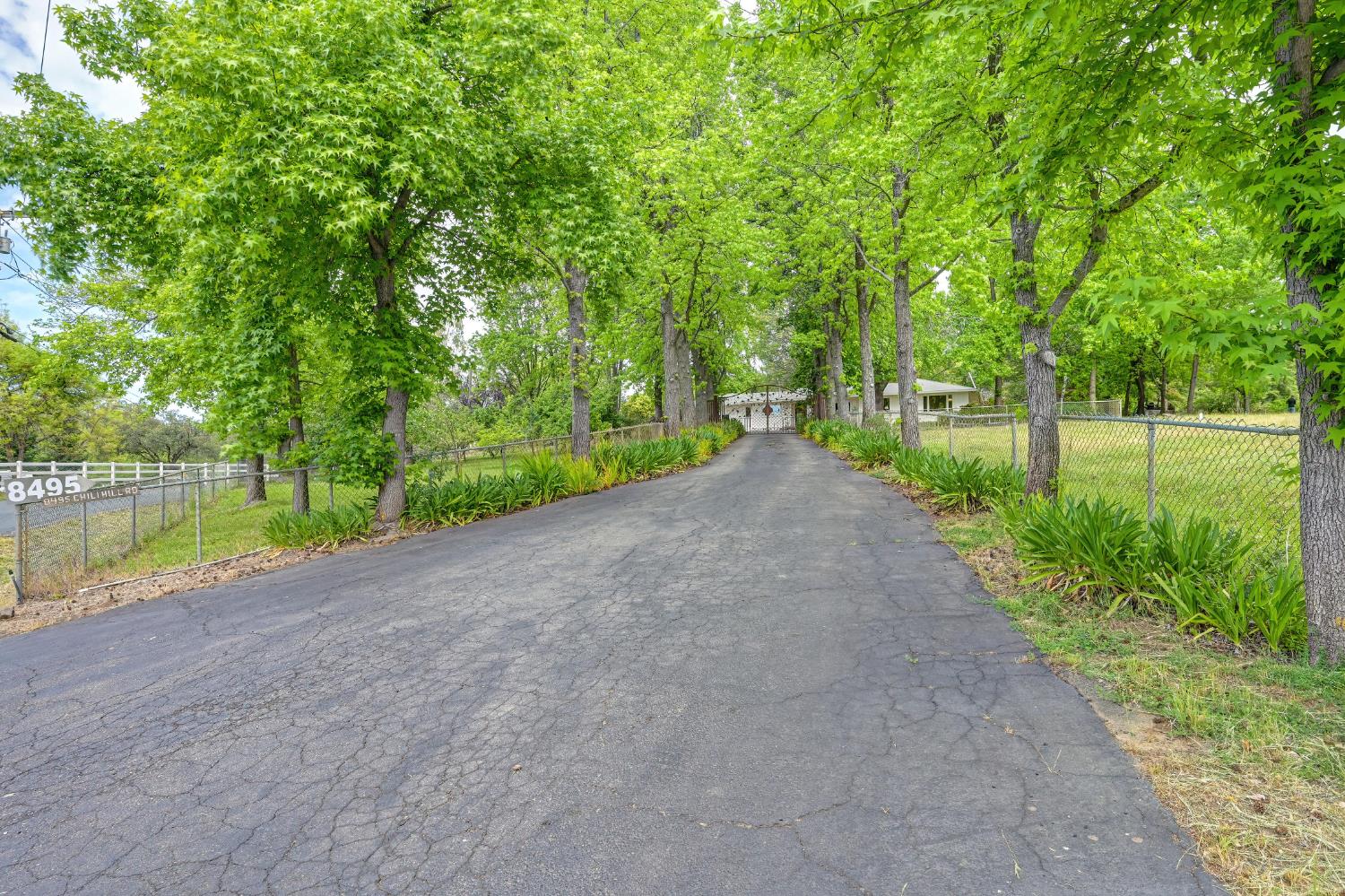 8495 Chili Hill Road Newcastle, CA 95658 - Photo 54 of 56 a view of a lake with a big yard and large trees