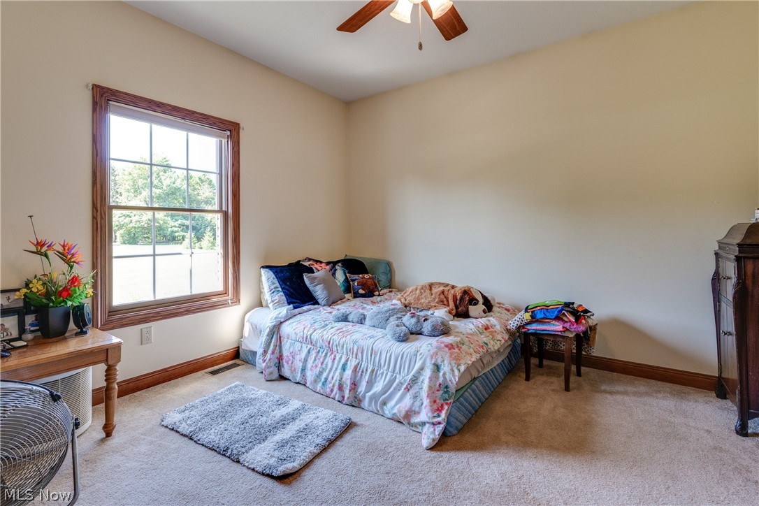 9515 Crow Road Litchfield, OH 44253 - Photo 20 of 28 Gallery Image 20