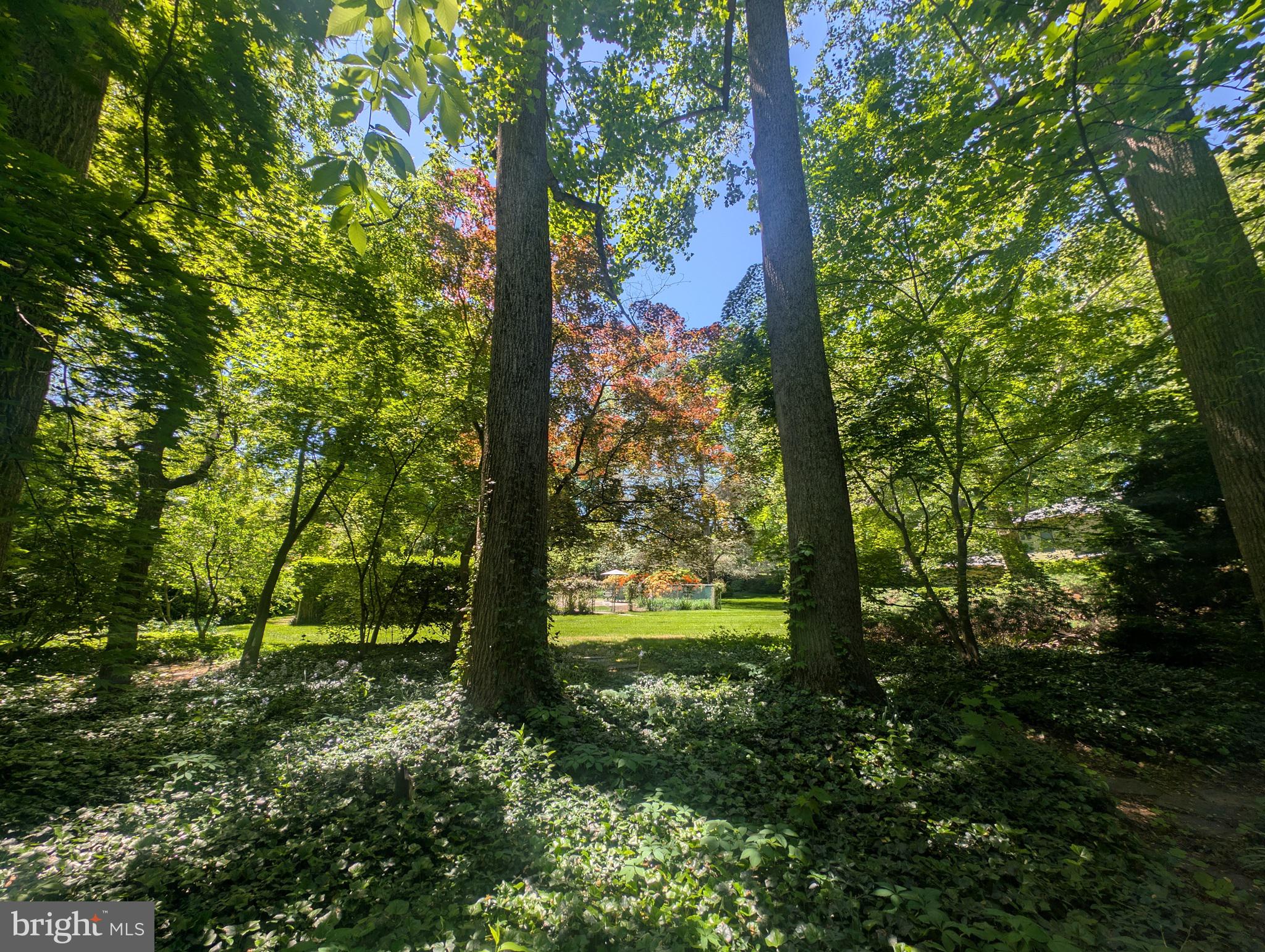 775 River Road Yardley, PA 19067 - Photo 66 of 75