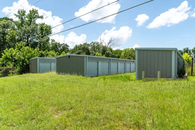 a view of a backyard with potted plants and large tree