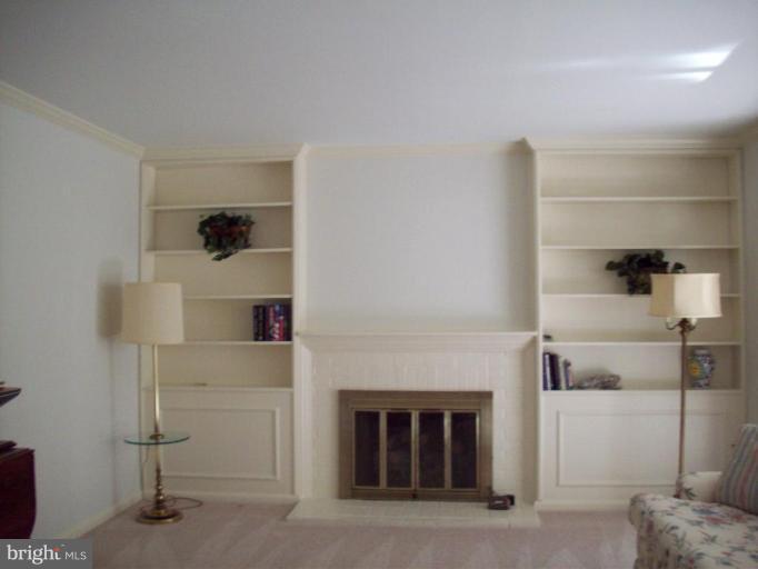 8701 Bradgate Road Alexandria, VA 22308 - Photo 16 of 17 Gas Fireplace