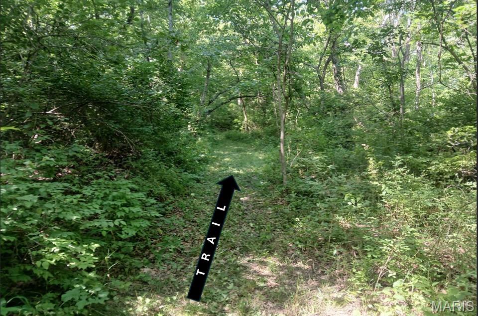 0 Silver Creek Road Alhambra, IL 62001 - Photo 15 of 23