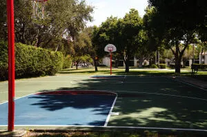 a view of a backyard