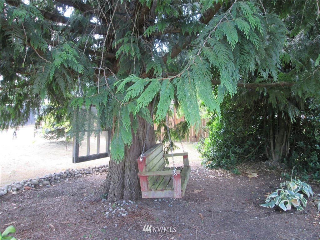19039 Loganberry Street Southwest Rochester, WA 98579 - Photo 22 of 25 a backyard of a house with lots of green space