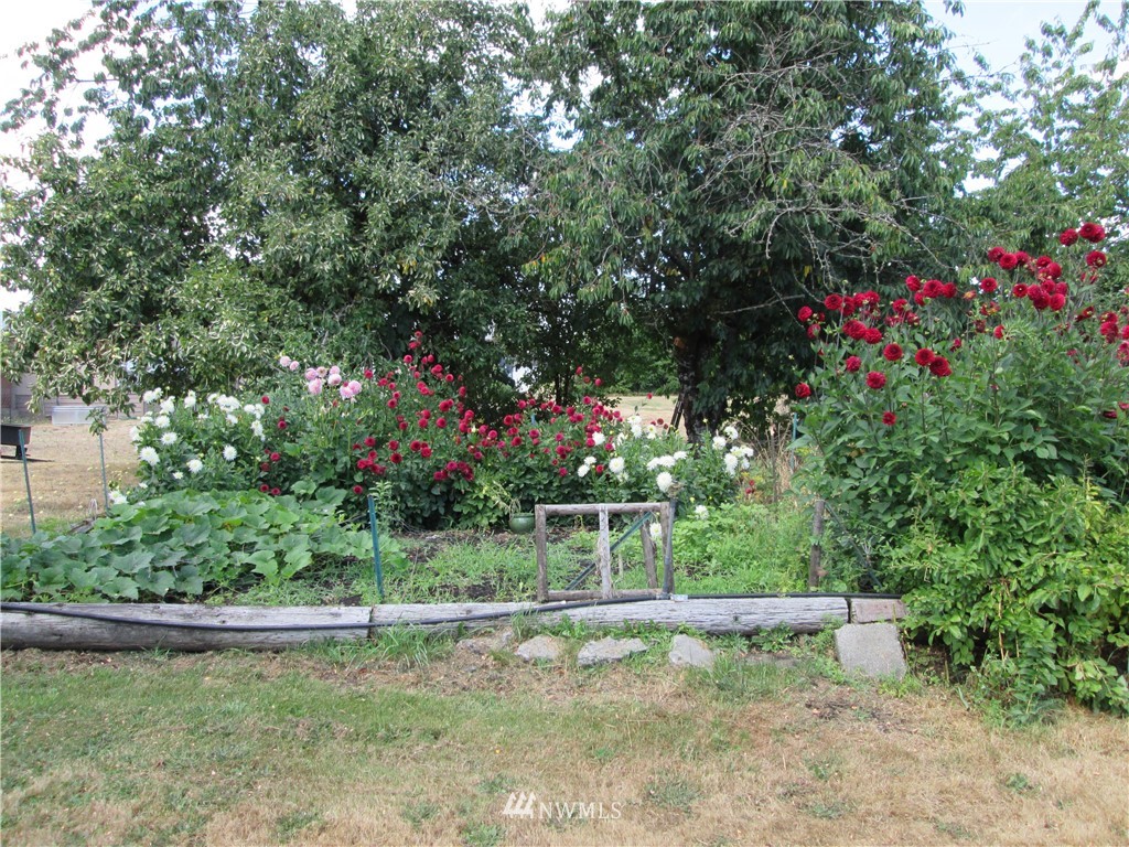 19039 Loganberry Street Southwest Rochester, WA 98579 - Photo 23 of 25 a view of a garden