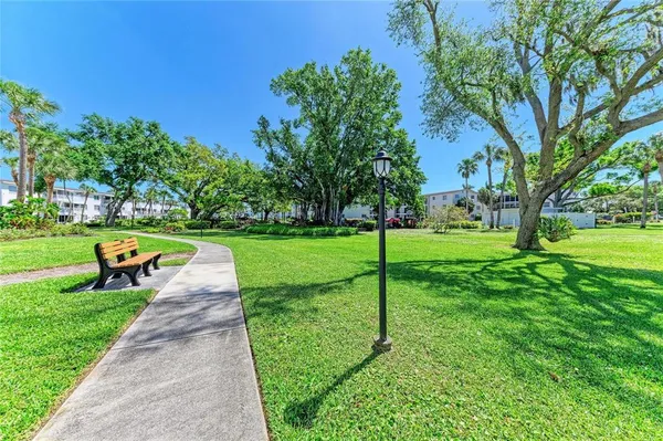 a view of a park with large trees