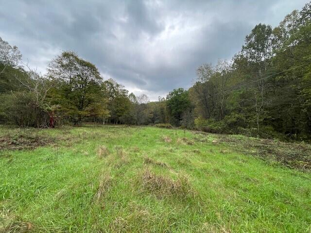219-3 Co Route Marlinton, WV 24954 - Photo 20 of 22 Gallery Image 20