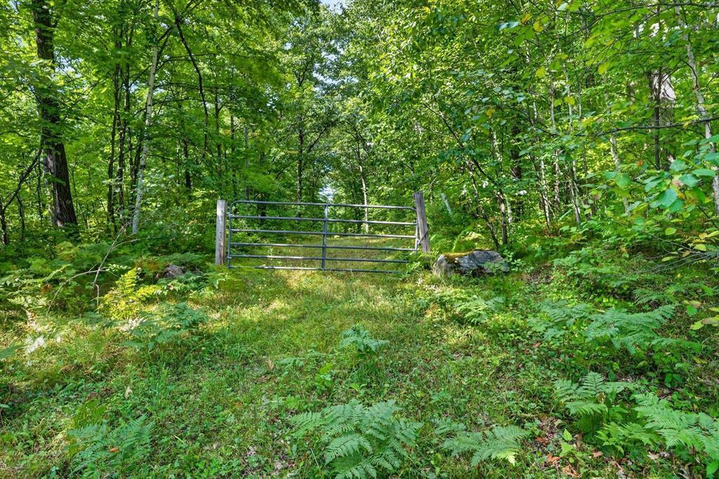 2 Comet Exeland, WI 54835 - Photo 9 of 26 Gallery Image 9