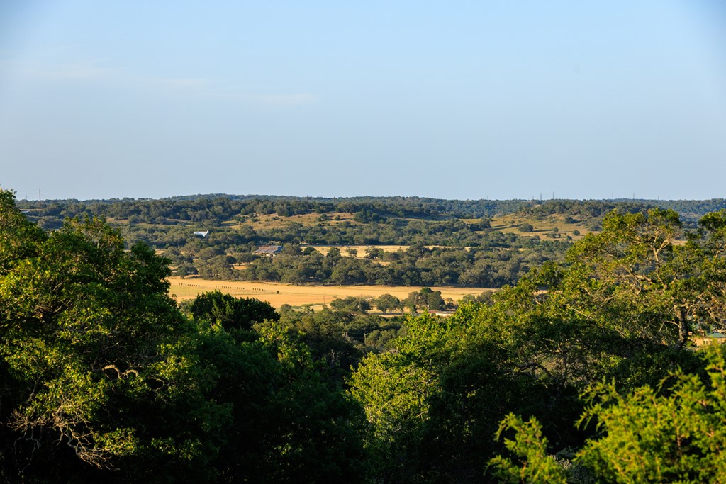 0 Delaware Creek Road Blanco, TX 78606 - Photo 16 of 16 Gallery Image 16