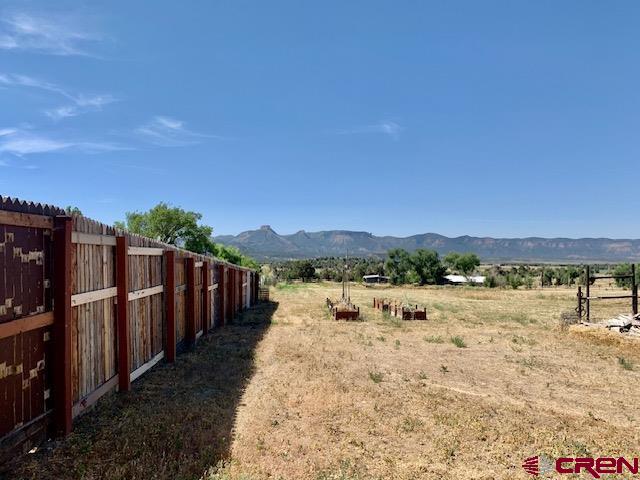 34099 Rd M Mancos, CO 81328 - Photo 25 of 35
