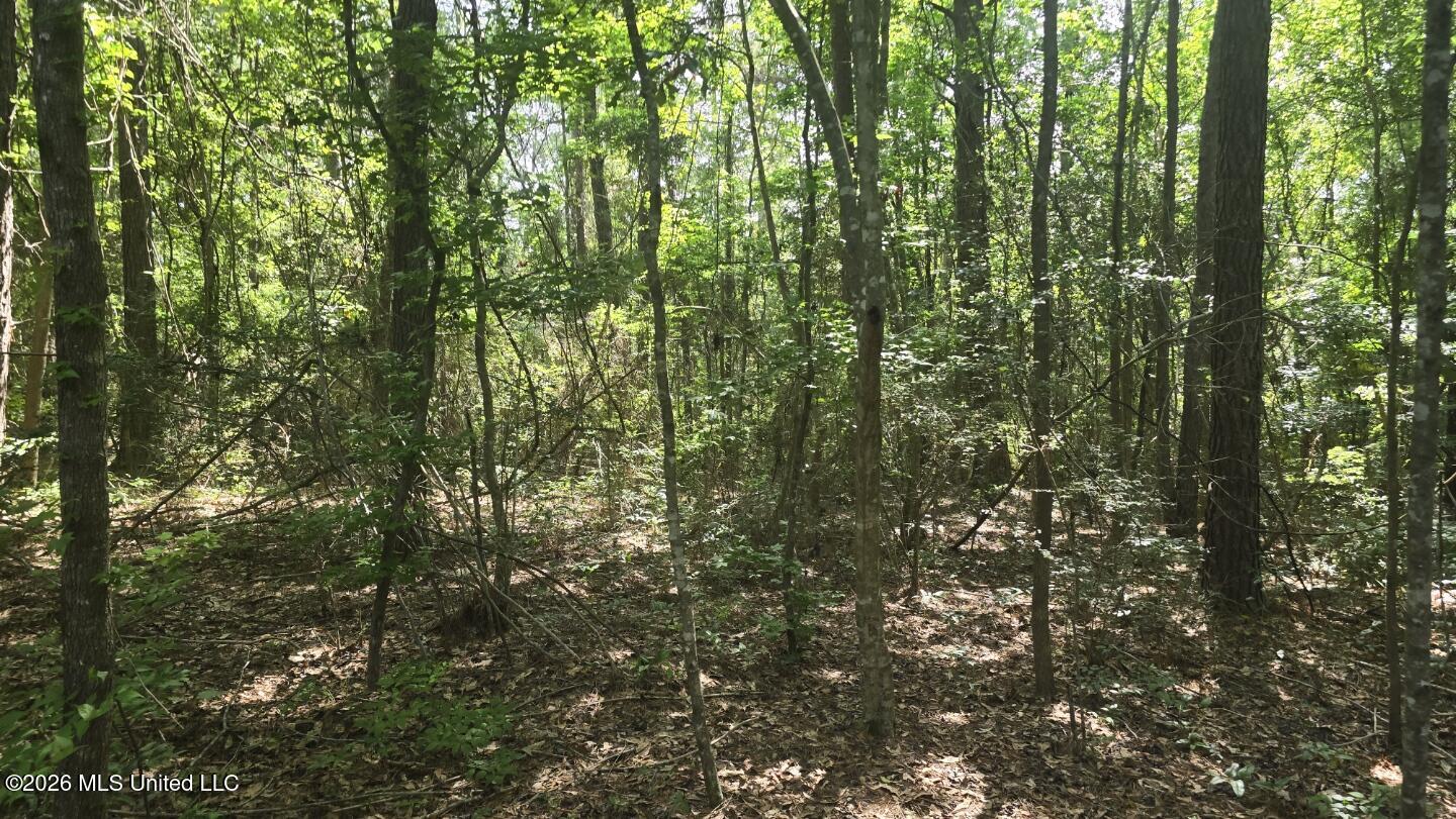 Addison Road State Line, MS 39362 - Photo 3 of 32 20260602_100955