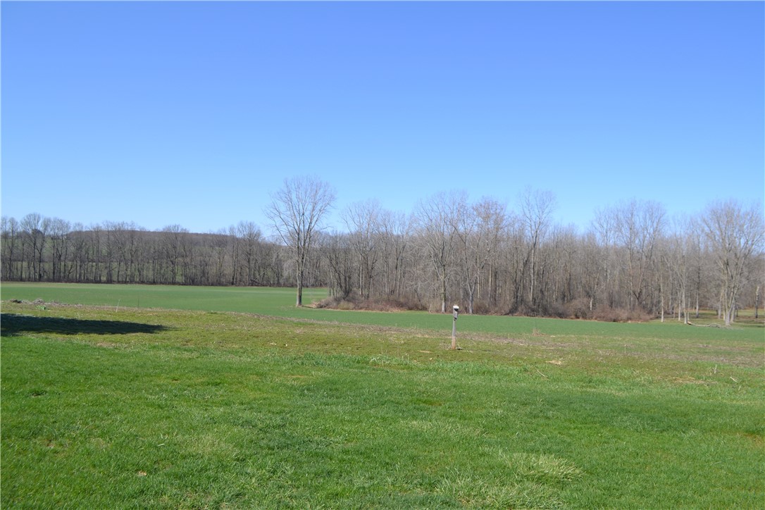 10538 Pavilion Center Road Pavilion, NY 14525 - Photo 34 of 39