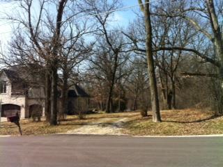 3774 Douglas Road Downers Grove, IL 60515 - Photo 3 of 4 Gallery Image 3