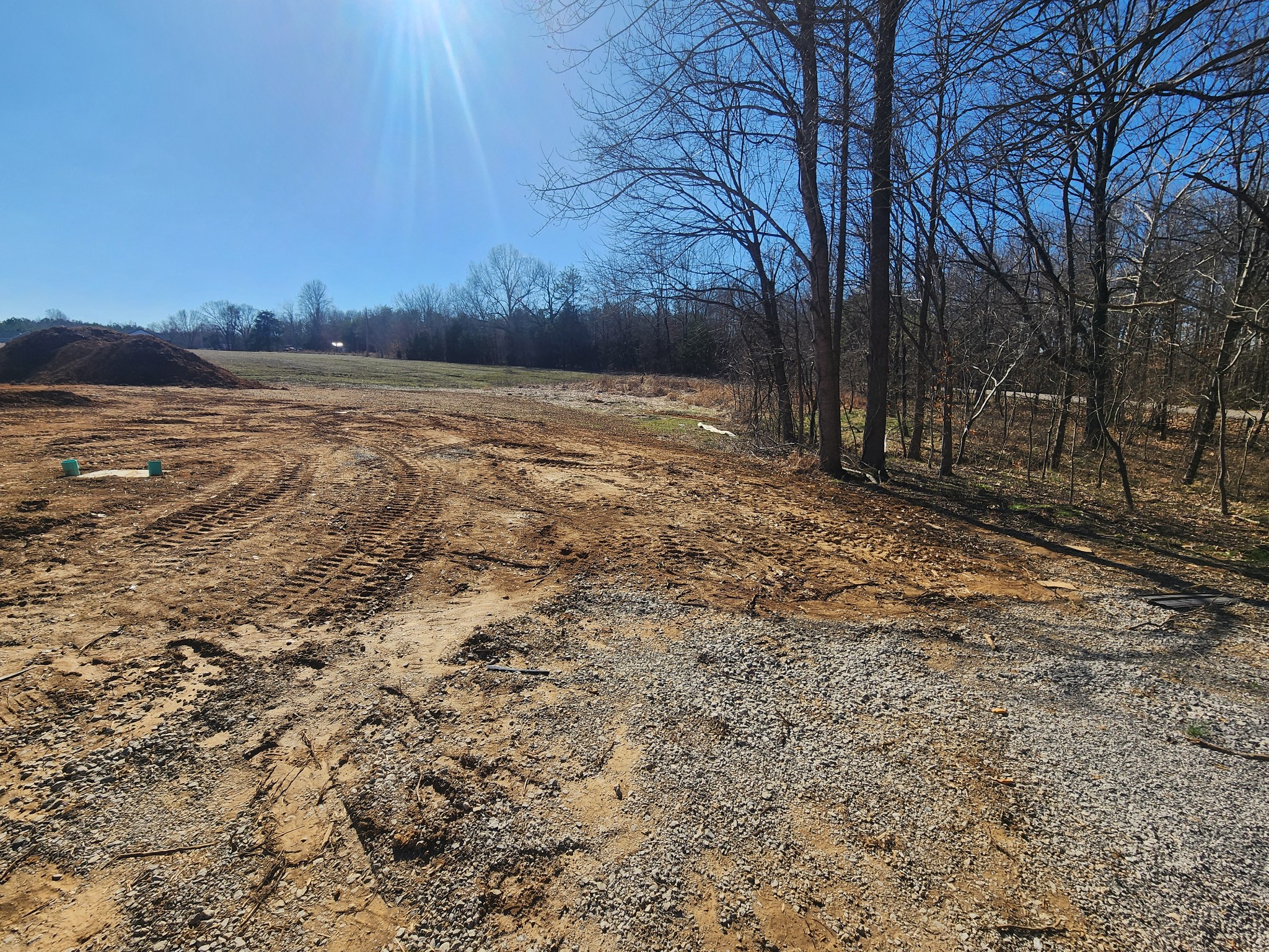 268 Carl Williams Road Crofton, KY 42217 - Photo 10 of 10 a view of a yard with trees in the background