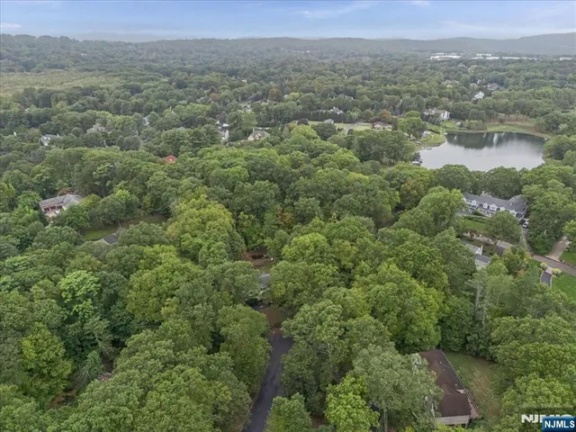 an aerial view of residential houses with outdoor space and trees