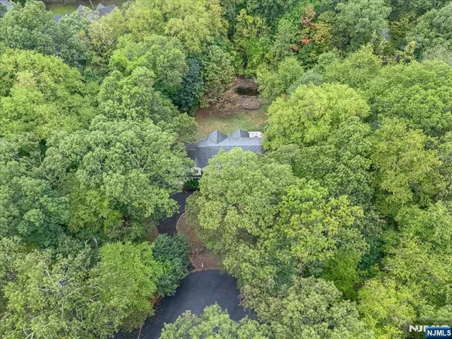 a plant view in yard