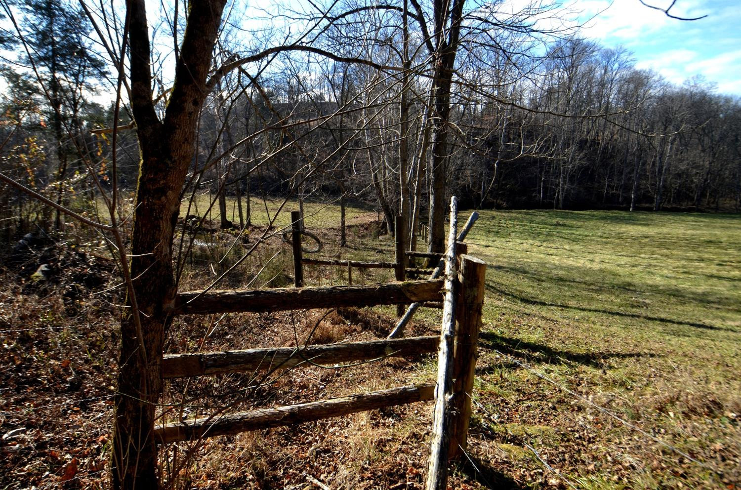 146 Opossum Run Road Irvine, KY 40336 - Photo 35 of 64 The north west corner of the farm! 3 far