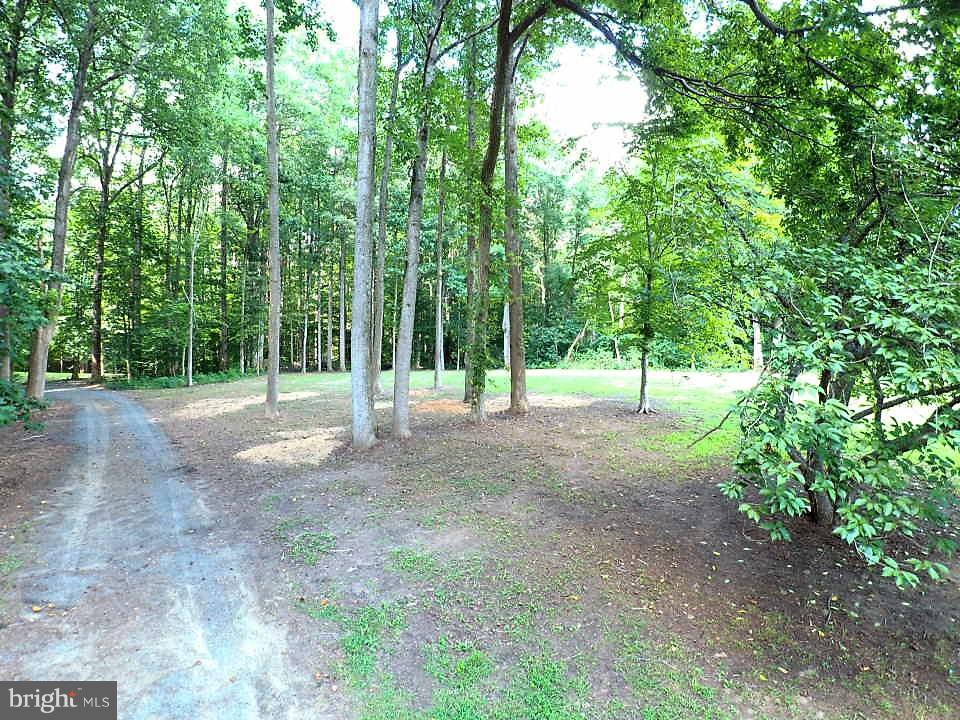 Mitchell Road South Denton, MD 21629 - Photo 14 of 18 Exterior (General)