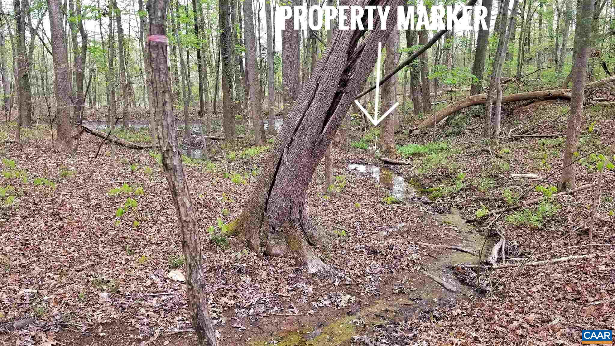 2580 Broad St Road Gum Spring, VA 23065 - Photo 27 of 45