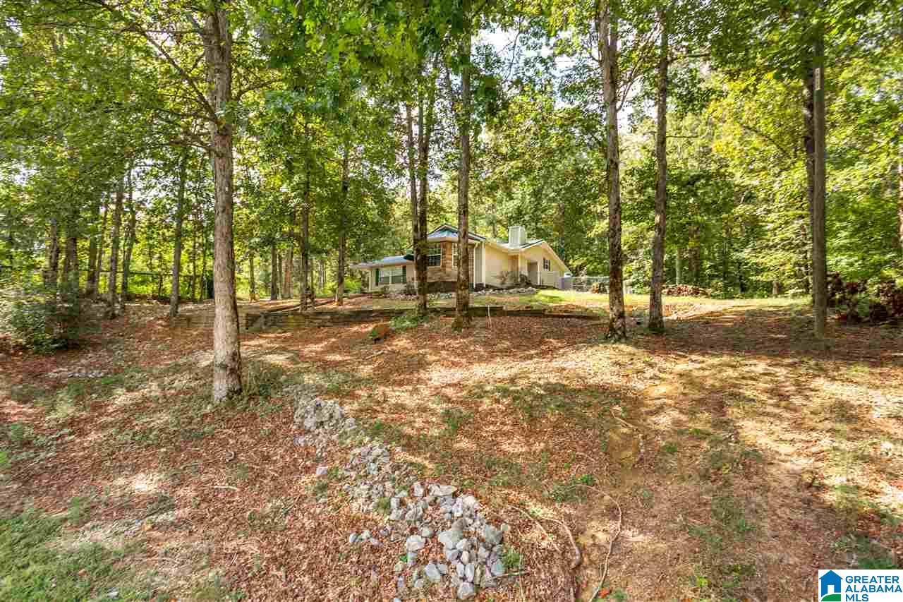 59 Mohawk Trail Ohatchee, AL 36271 - Photo 30 of 47