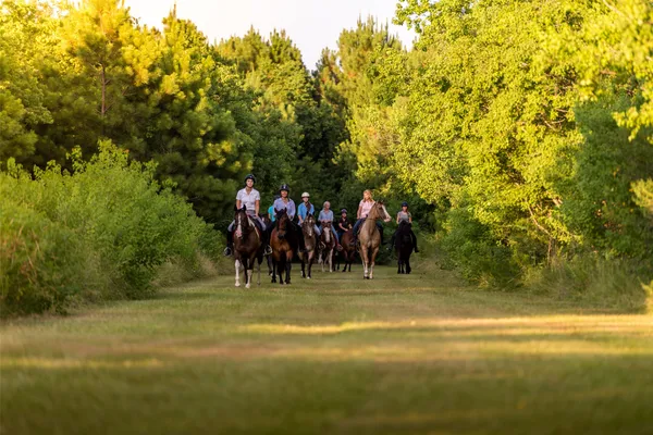 a view of a street with trees