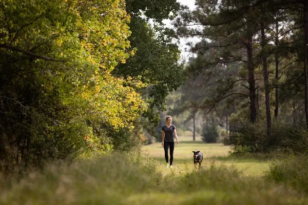 a view of a lake with large trees