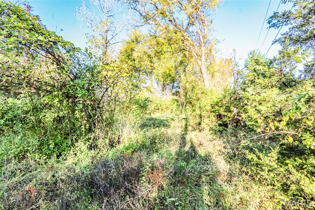 4591 State Route West House Springs, MO 63051 - Photo 4 of 10