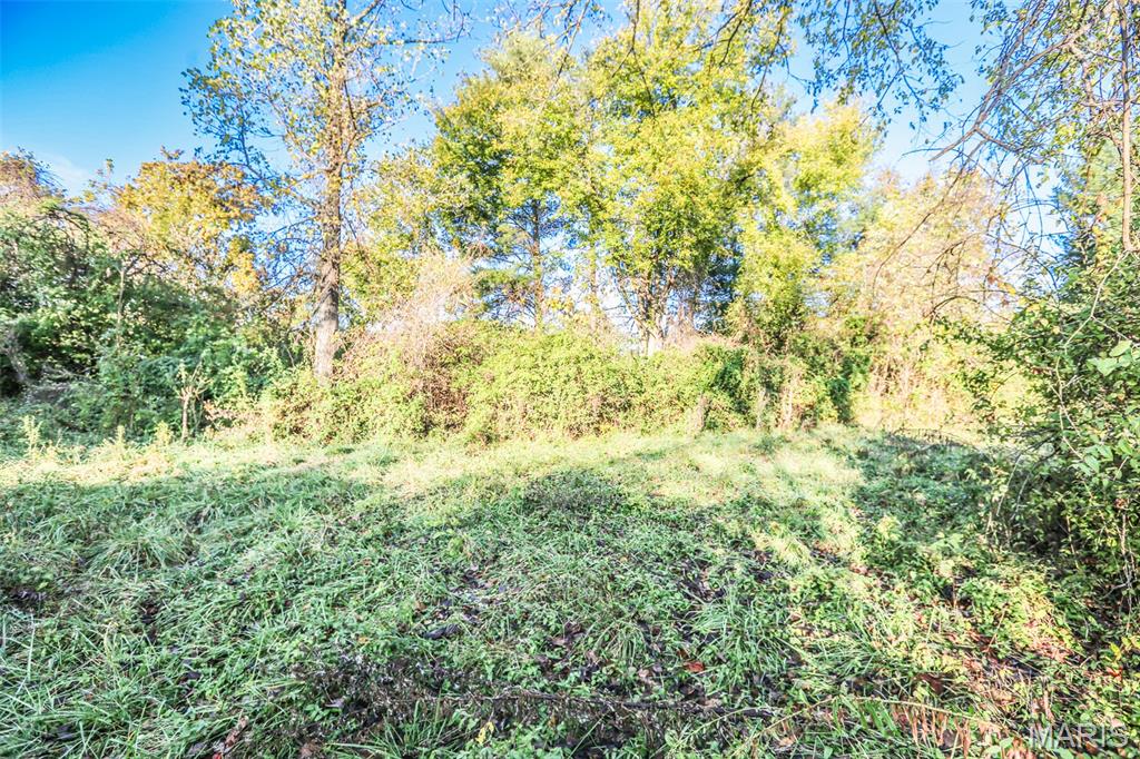 4591 State Route West House Springs, MO 63051 - Photo 6 of 10