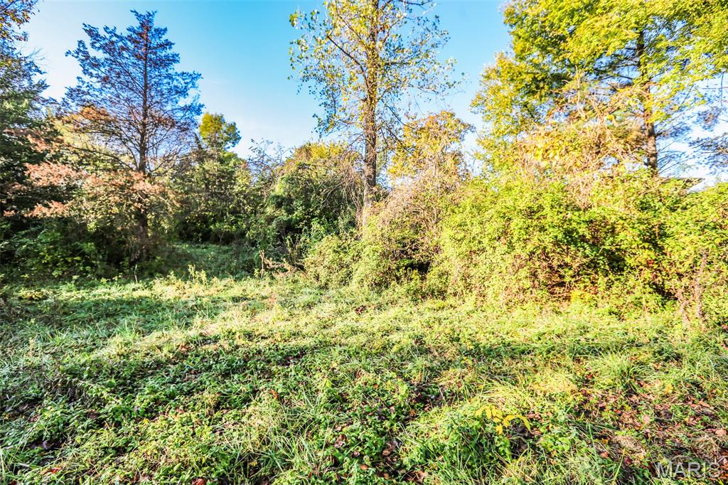 4591 State Route West House Springs, MO 63051 - Photo 7 of 10