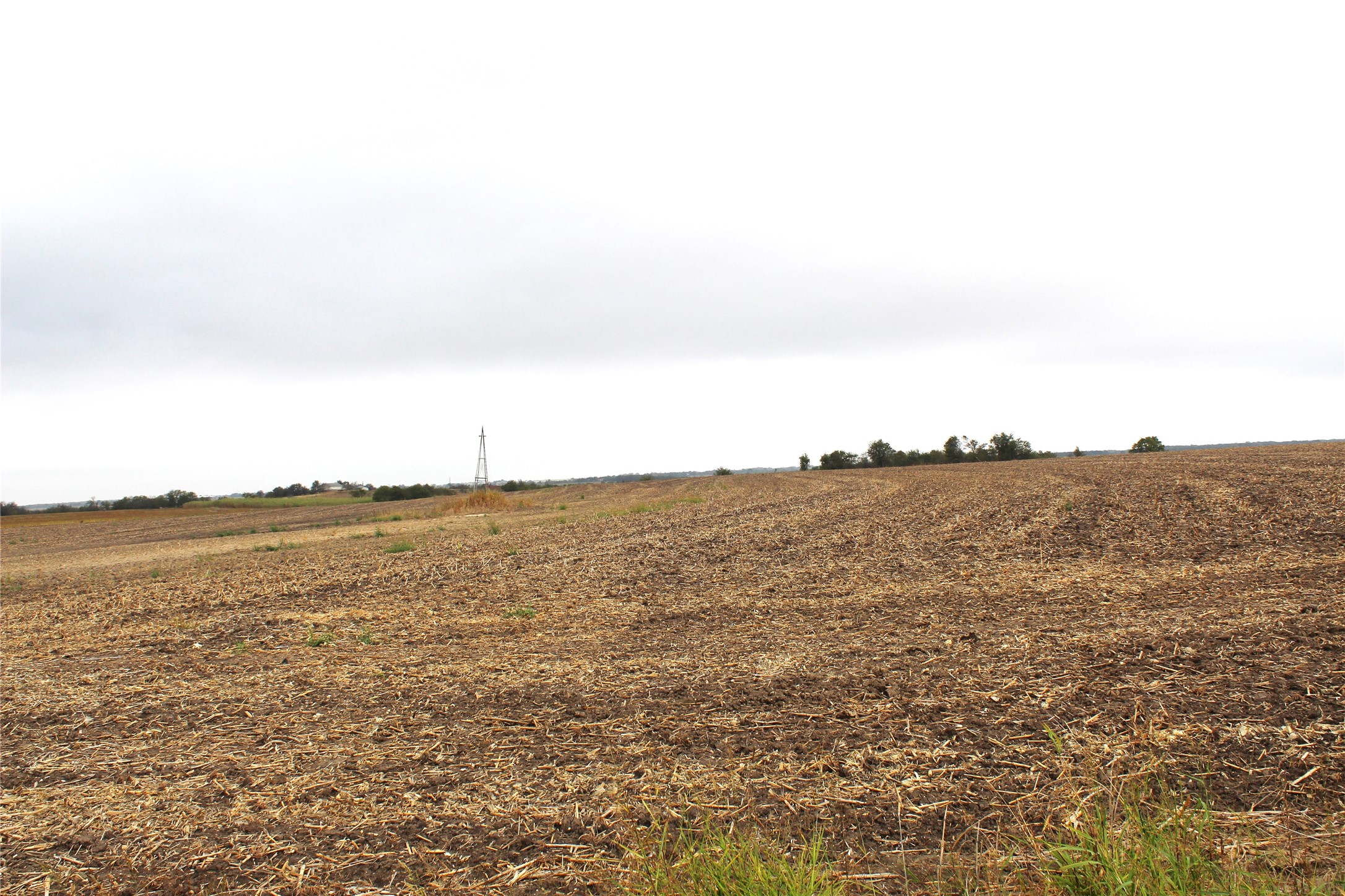 0 Cr 420 Roads Thorndale, TX 76577 - Photo 2 of 4