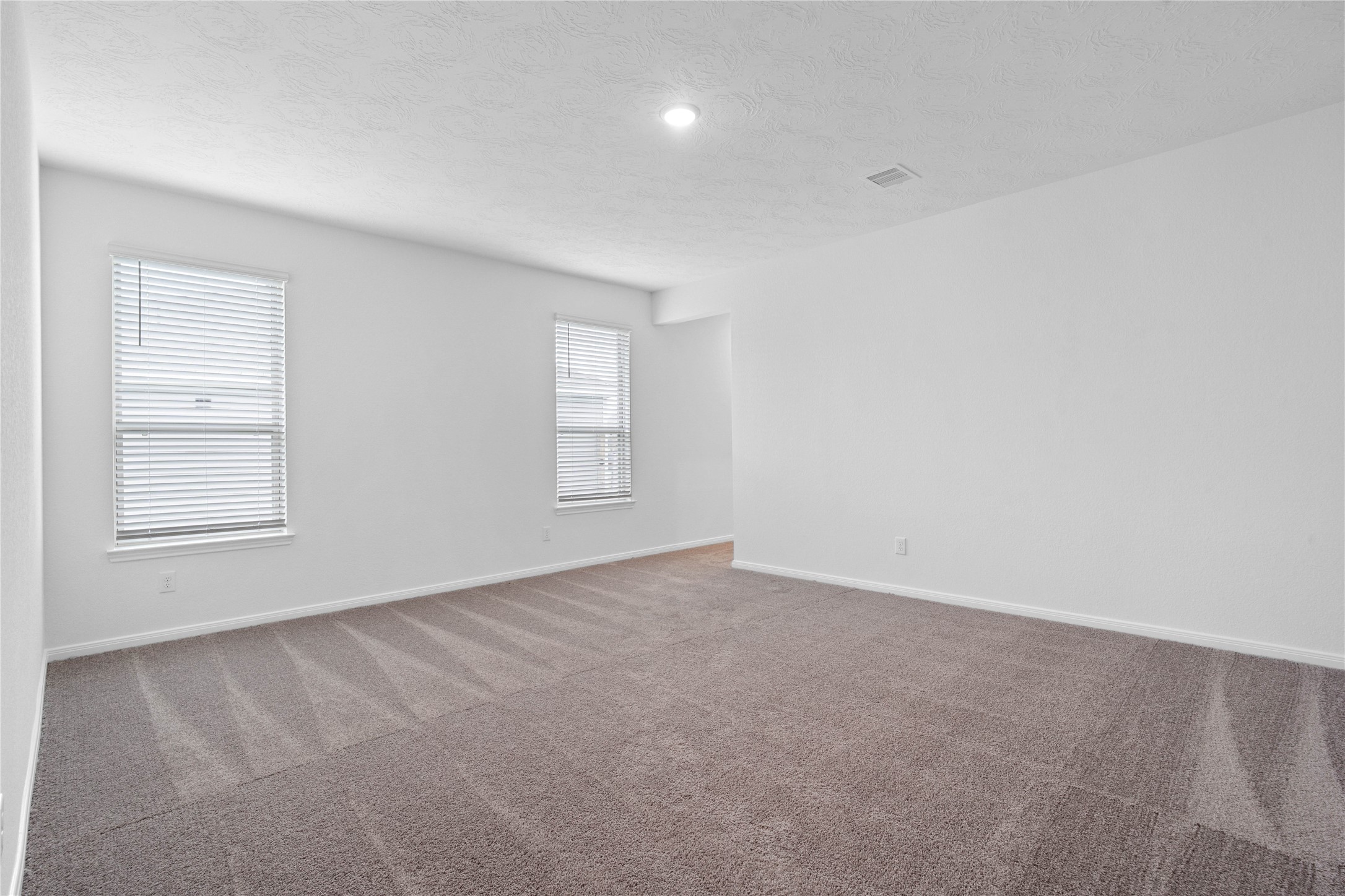 745 Imperial Loop Alvin, TX 77511 - Photo 11 of 29 an empty room with windows