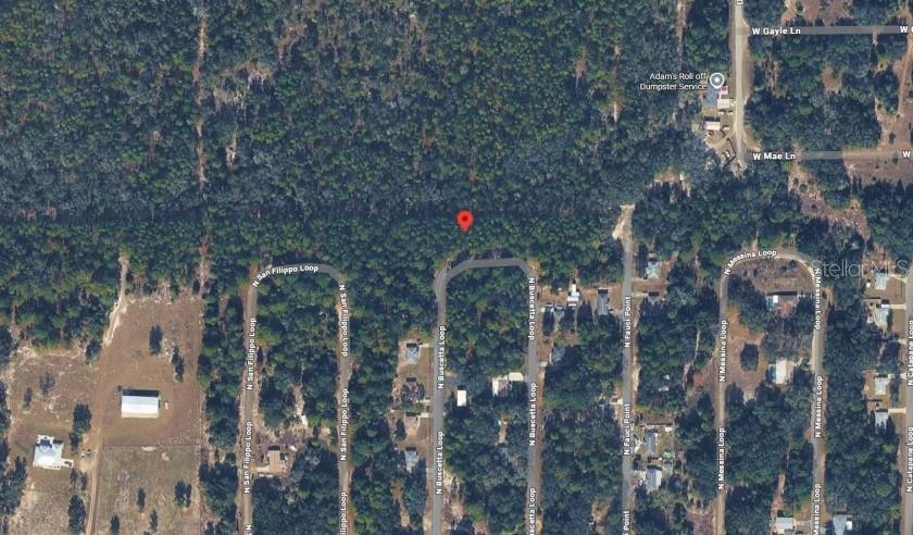 8754 North Buscetta Loop Crystal River, FL 34428 - Photo 3 of 9