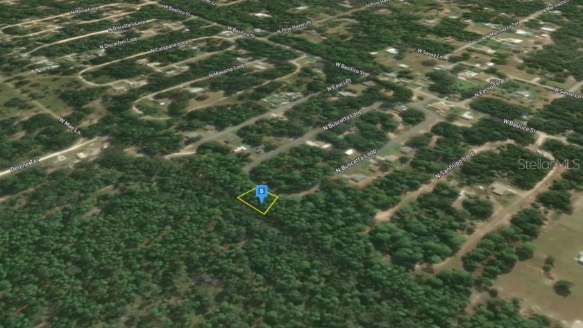 8754 North Buscetta Loop Crystal River, FL 34428 - Photo 9 of 9