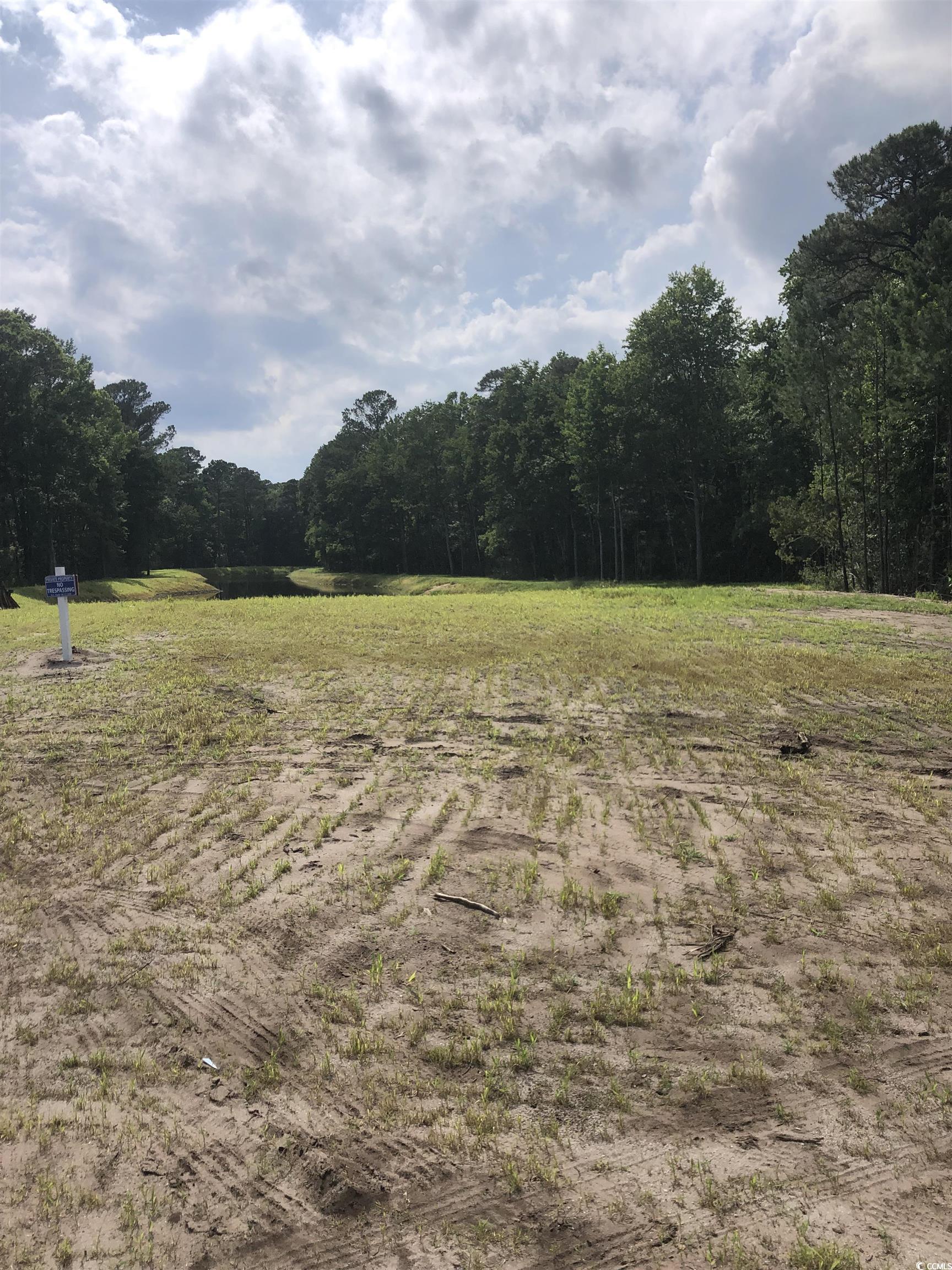 3139 Moss Bridge Lane Myrtle Beach, SC 29579 - Photo 2 of 3 View of yard featuring a view of rural / pastoral area and a wooded view
