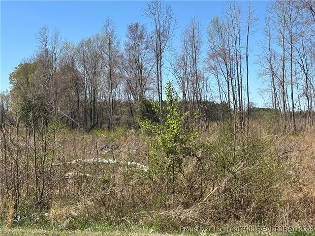 a view of backyard with green space