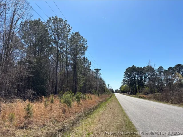 a view of a backyard with trees