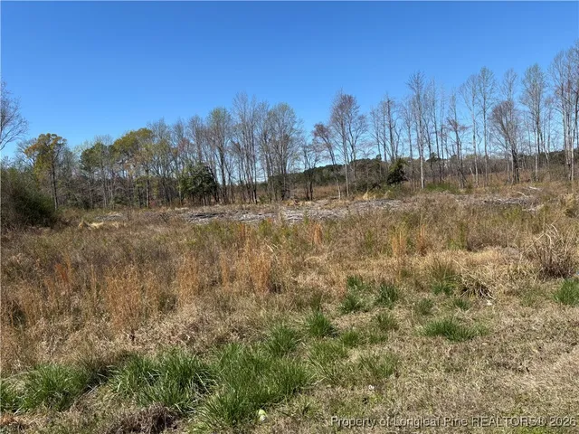 a view of a yard with trees in the background