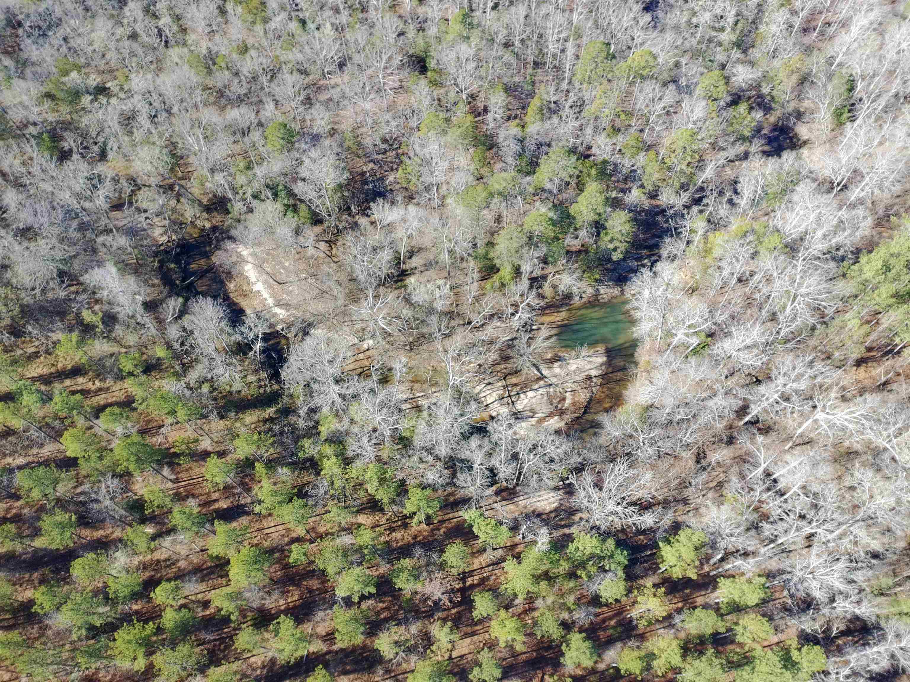 0 Fields Road Pauline, SC 29374 - Photo 1 of 10