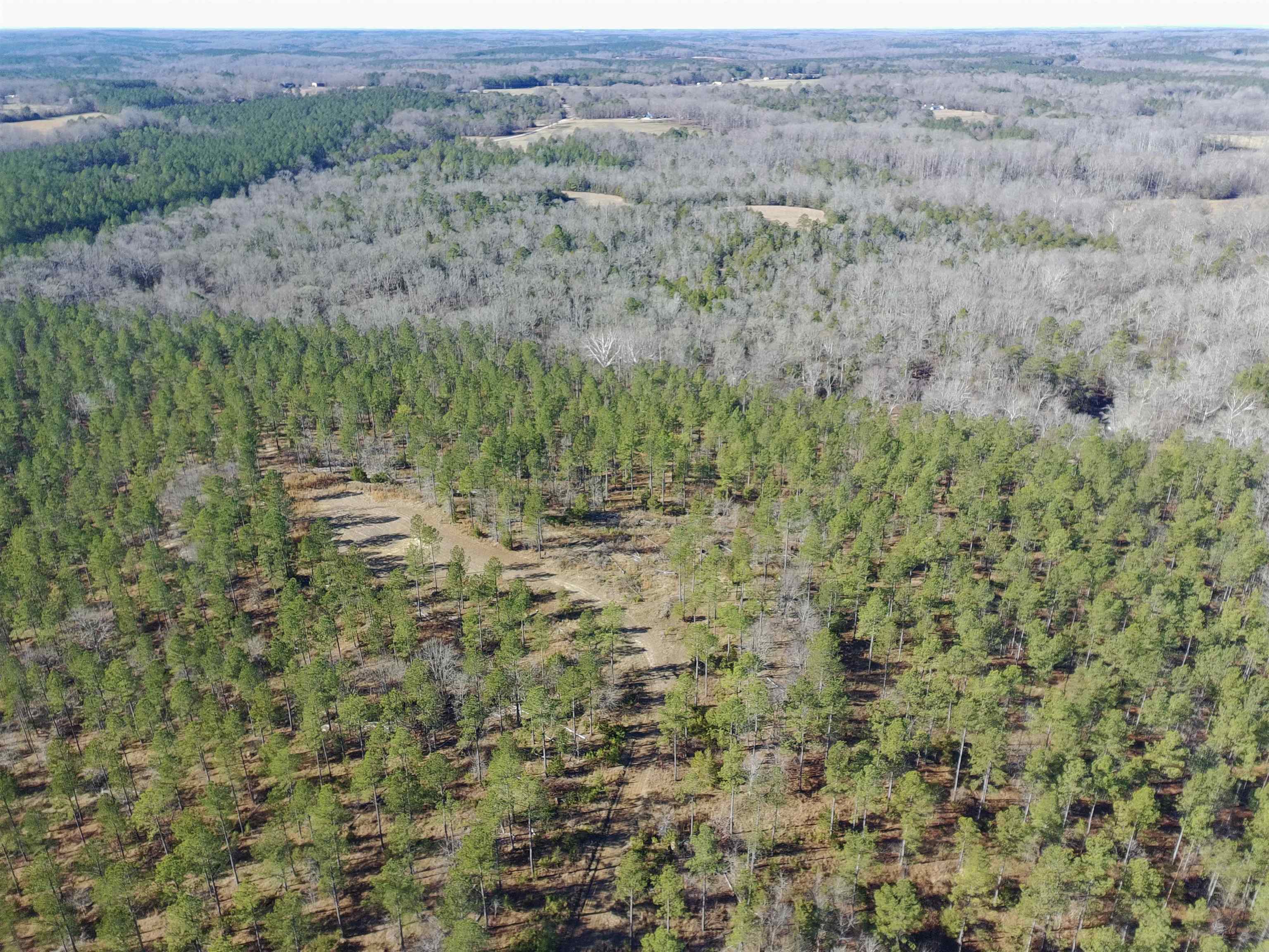 0 Fields Road Pauline, SC 29374 - Photo 3 of 10