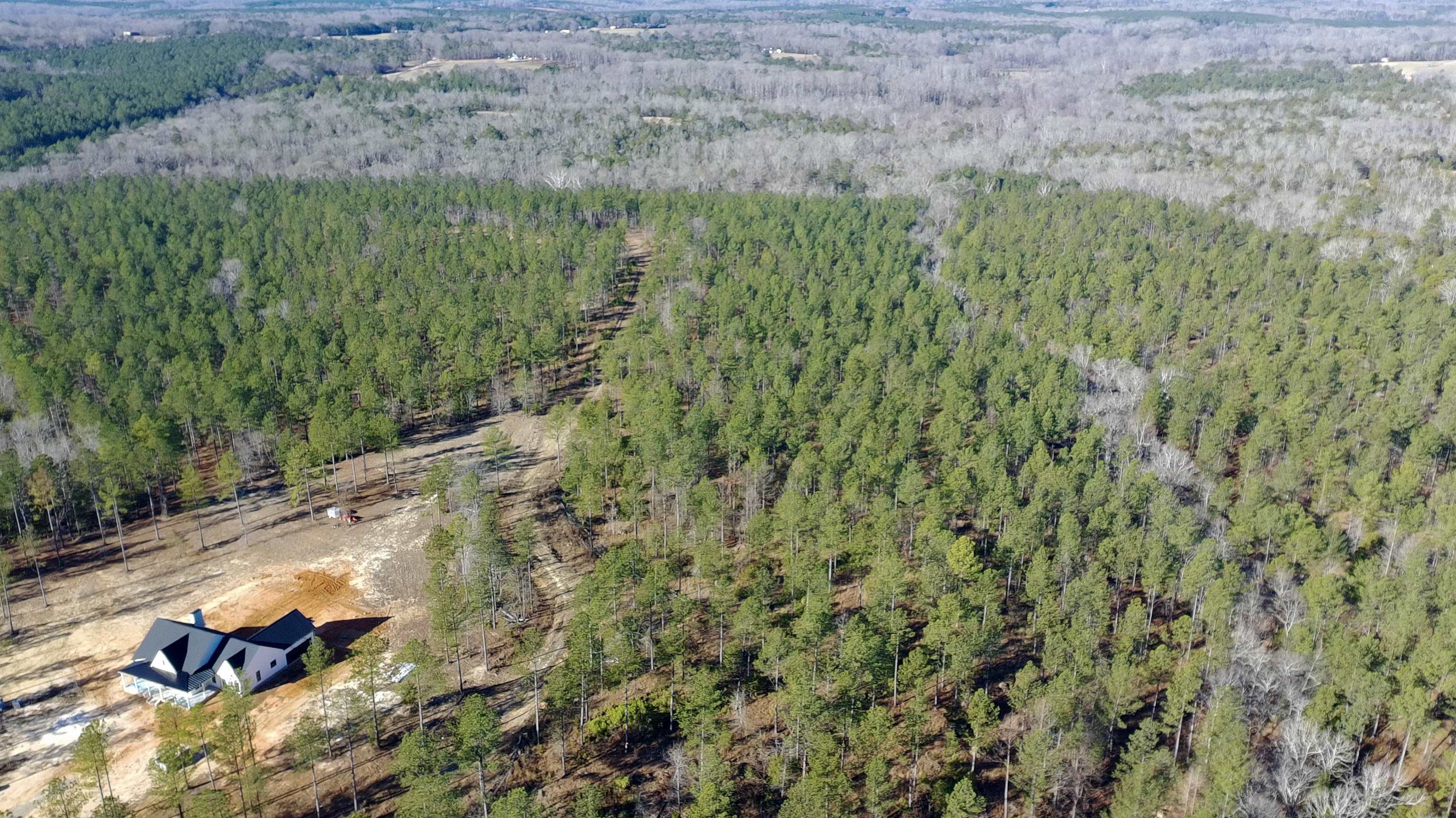 0 Fields Road Pauline, SC 29374 - Photo 4 of 10