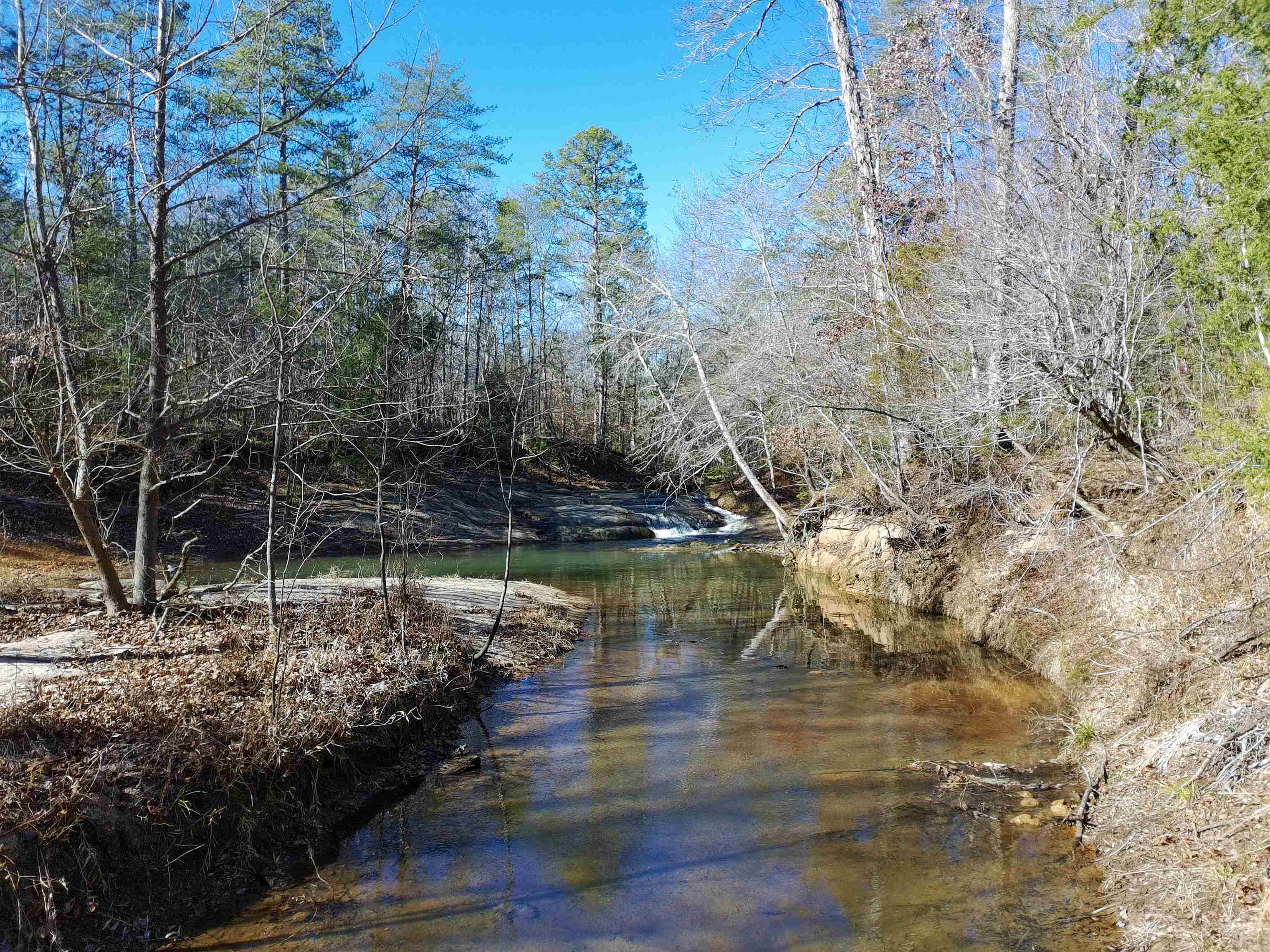 0 Fields Road Pauline, SC 29374 - Photo 6 of 10