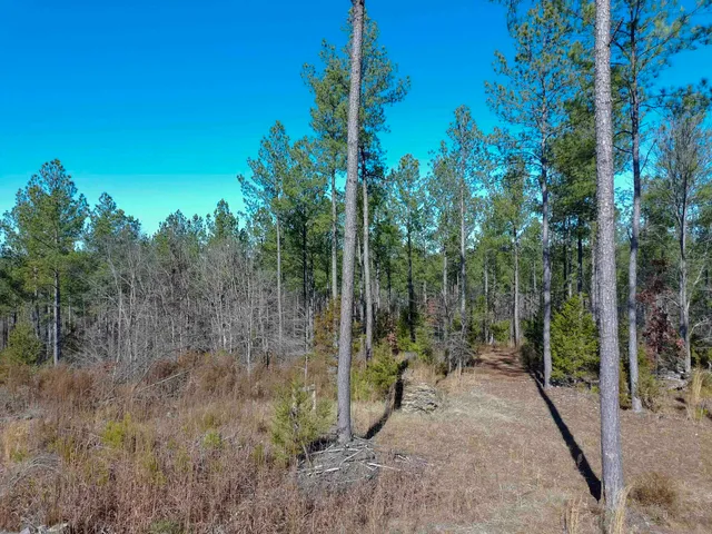 $456,300 | 0 Fields Road, Pauline, SC 29374