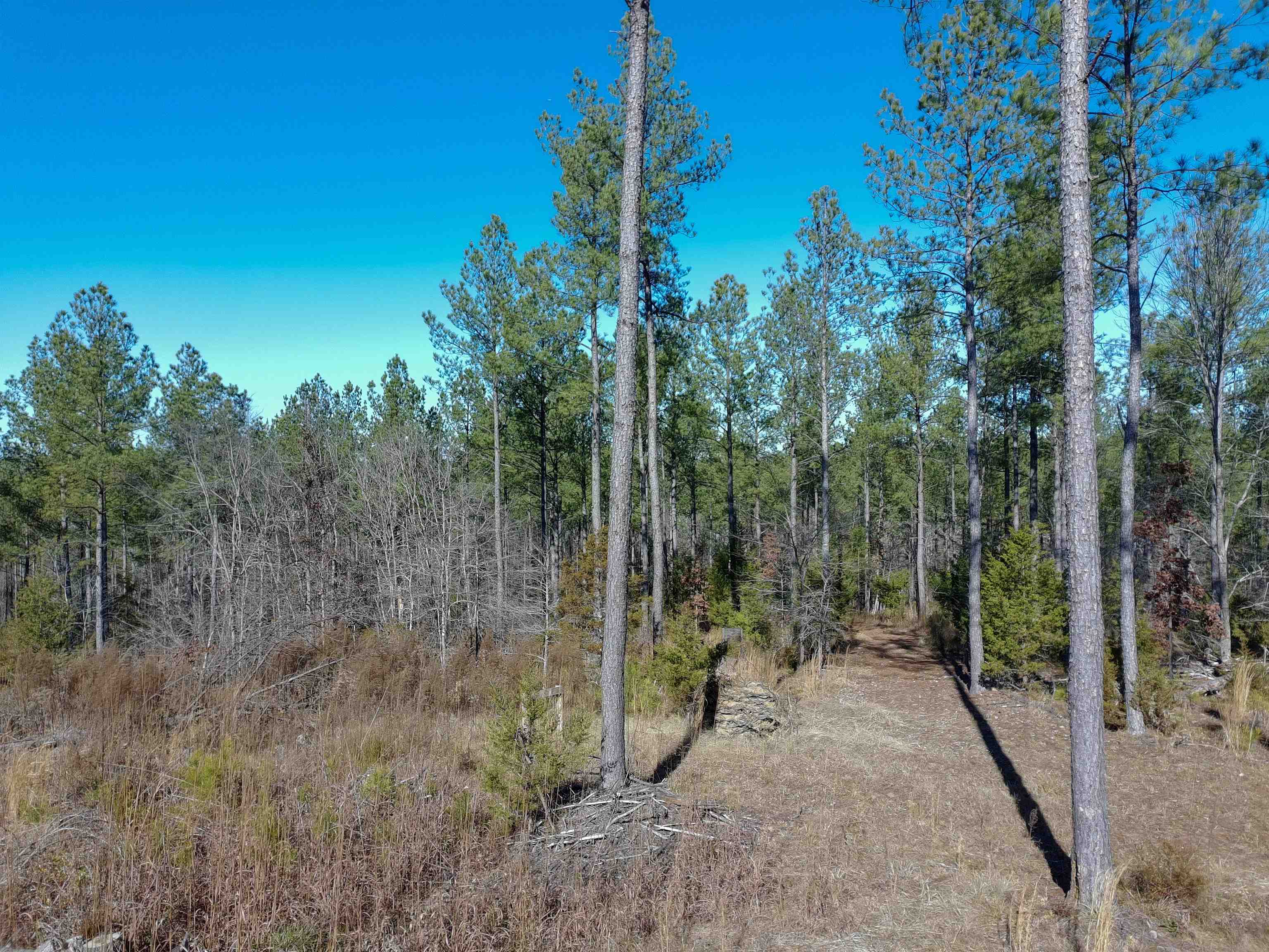 0 Fields Road Pauline, SC 29374 - Photo 7 of 10