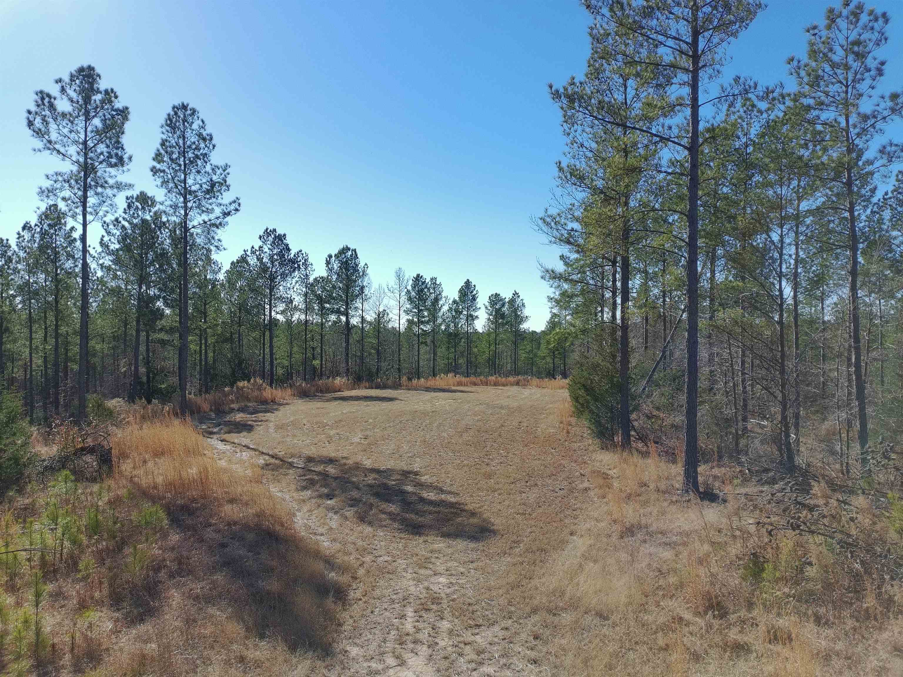 0 Fields Road Pauline, SC 29374 - Photo 8 of 10