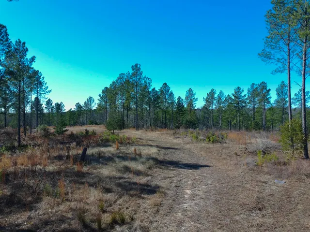 $456,300 | 0 Fields Road, Pauline, SC 29374