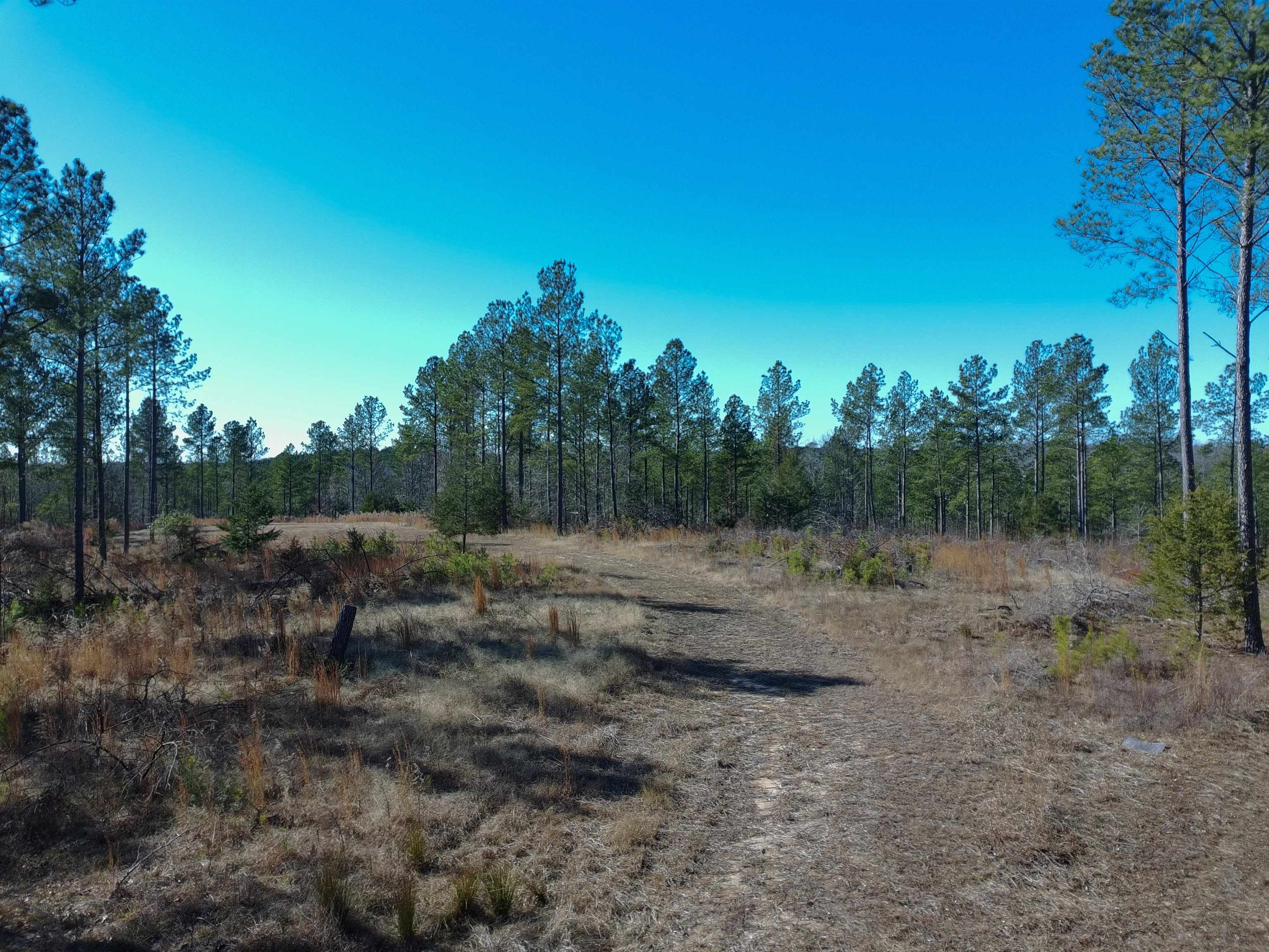 0 Fields Road Pauline, SC 29374 - Photo 9 of 10