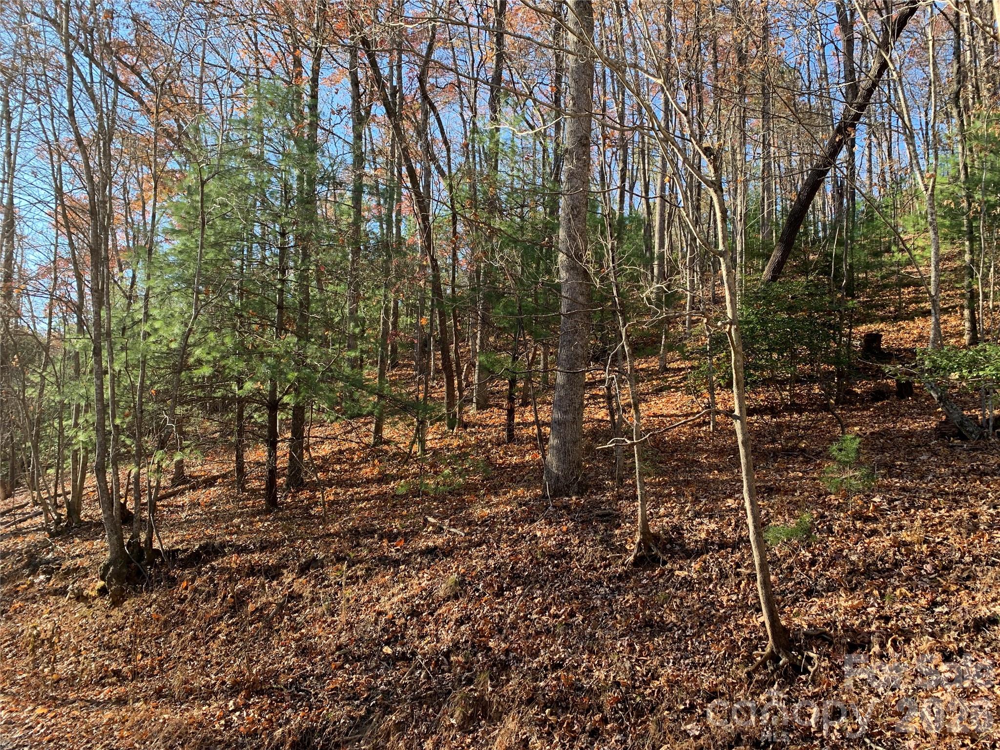 1 Dugger Firetower Road, Unit 1 Lenoir, NC 28645 - Photo 2 of 13 a view of a backyard