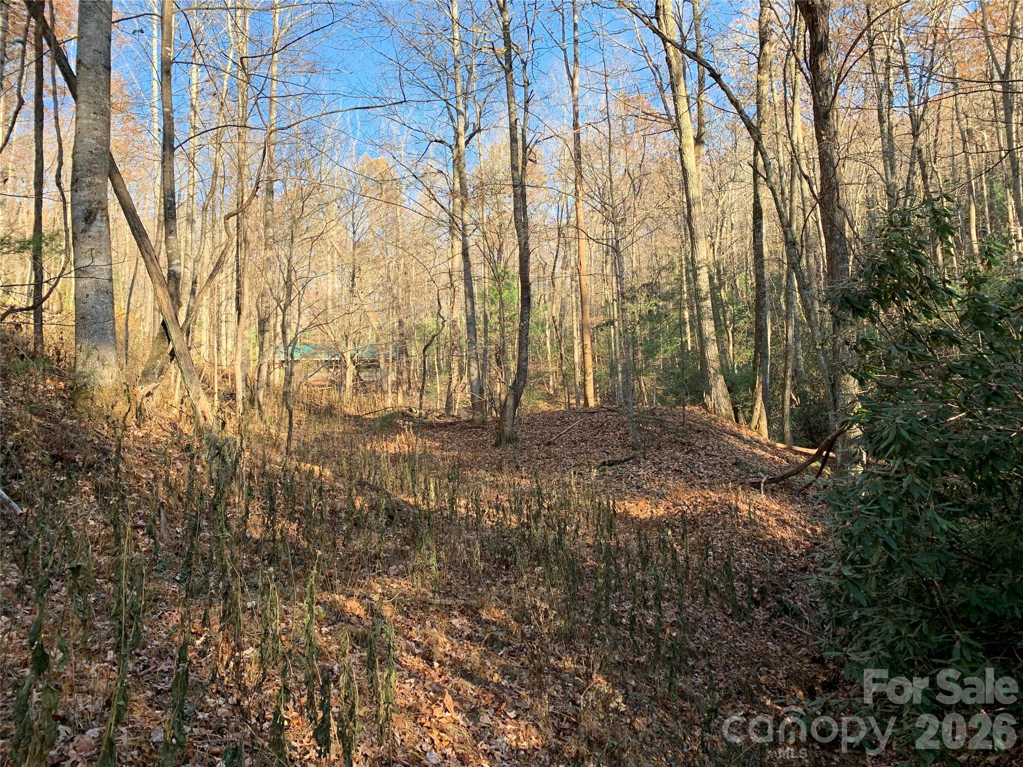 1 Dugger Firetower Road, Unit 1 Lenoir, NC 28645 - Photo 7 of 13 a view of yard with trees